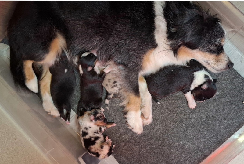 Les bébés ont 1 semaine et sont déjà bien actifs !