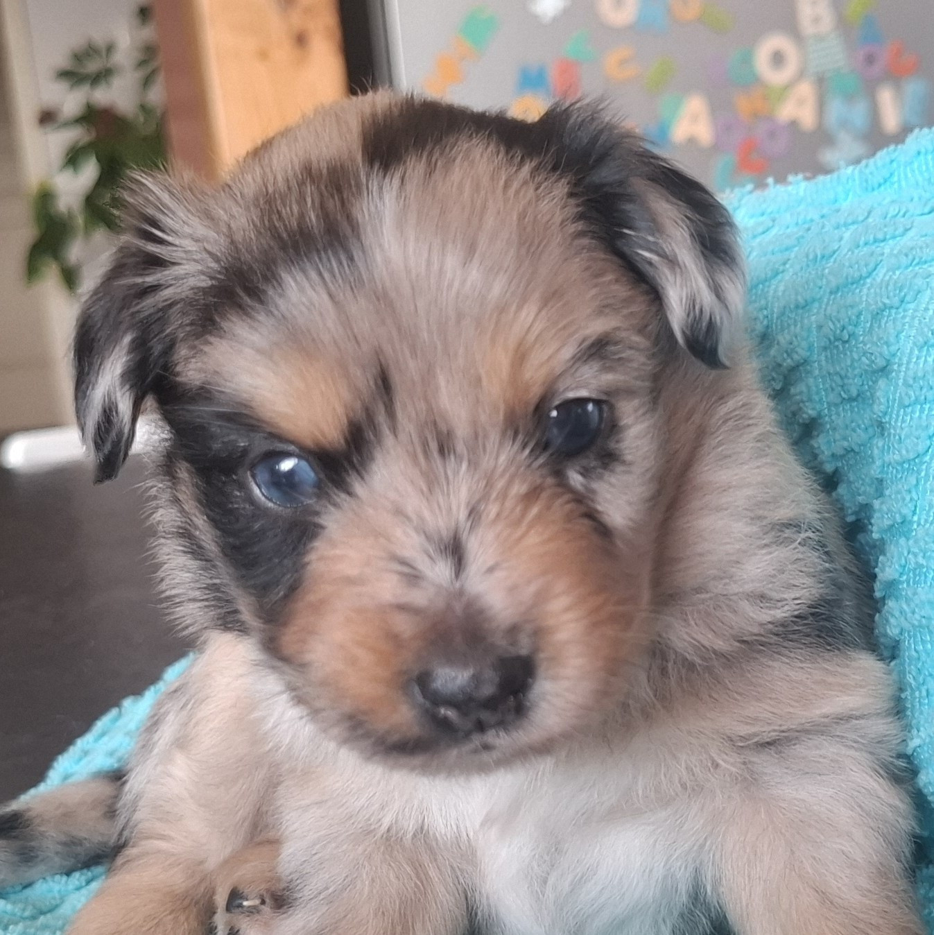 Premier mois de vie des bébés !